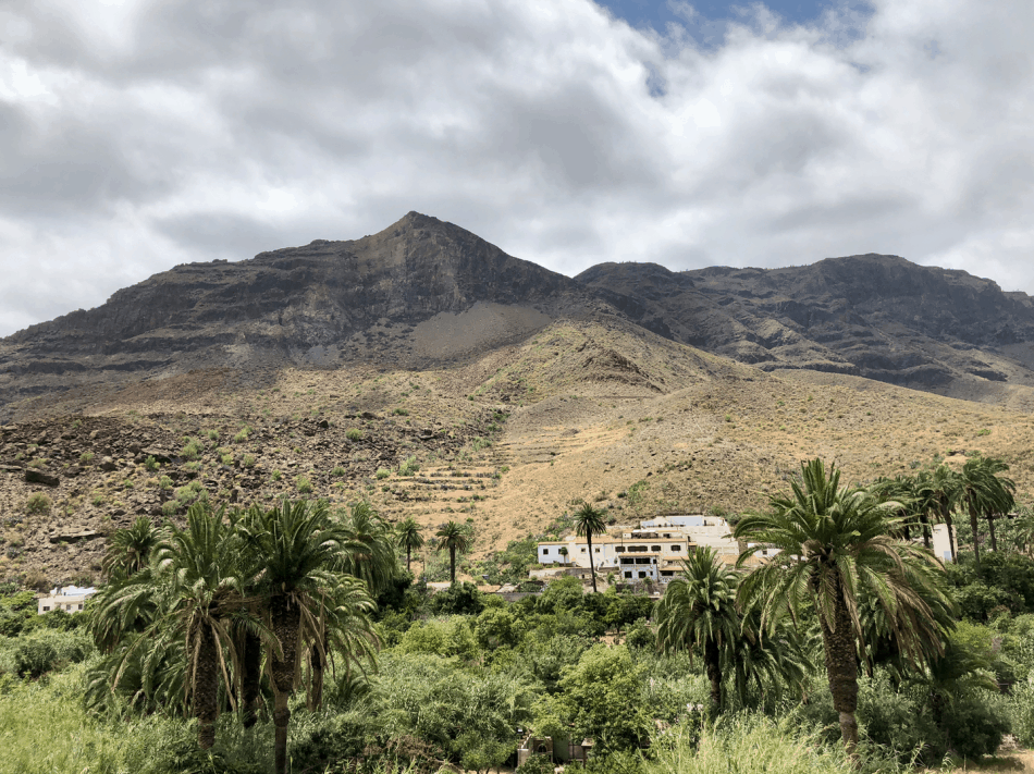 Emigreren Gran Canaria - Emigratie tips - 5 redenen waarom zoveel Nederlanders emigreren - Natuurlijke leefomgeving op Gran Canaria